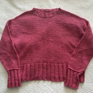 J. Crew Women's Berry Knit Sweater